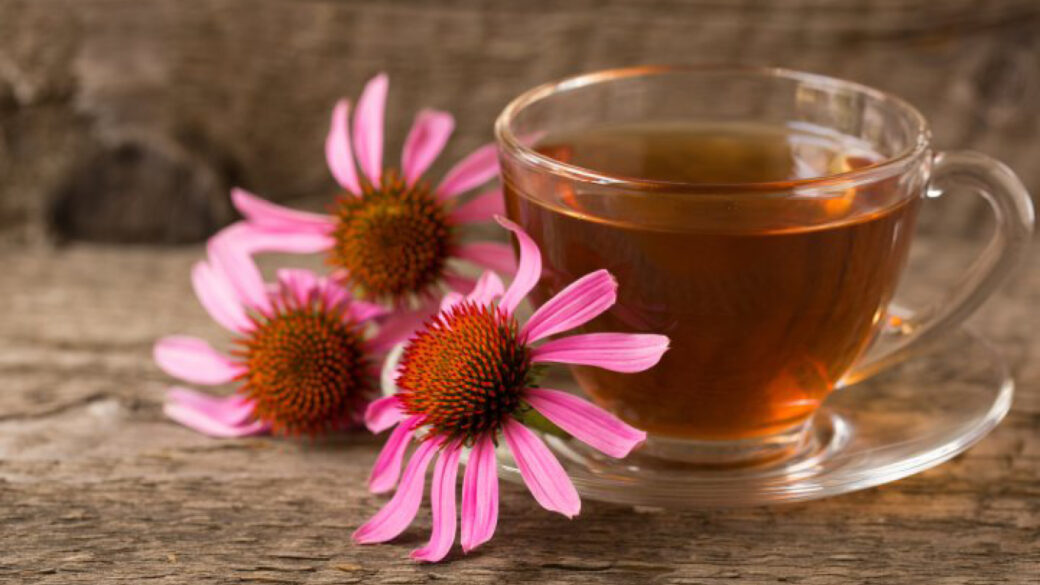 Boost Your Immune System with Echinacea