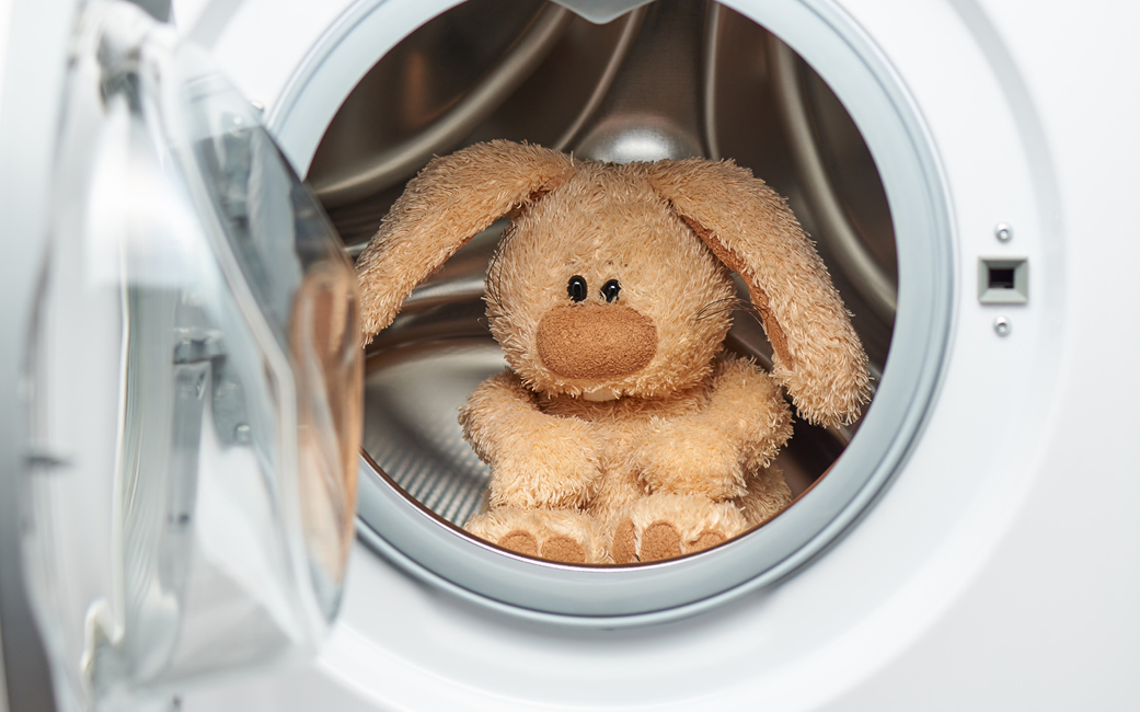 rabbit in the drum of a washing machine