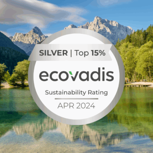 Gorenje - ecovadis